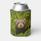 芝生の写真の可愛い茶色のフェレット 缶クーラー (缶裏面)