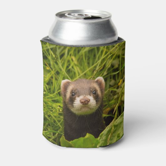 芝生の写真の可愛い茶色のフェレット 缶クーラー (缶裏面)