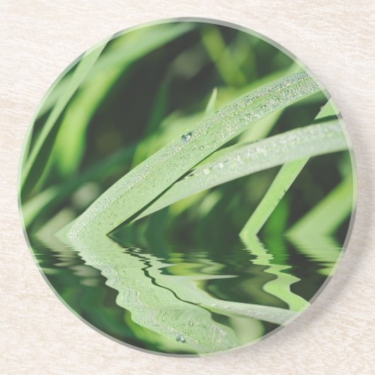 芝生の反射 コースター (正面)