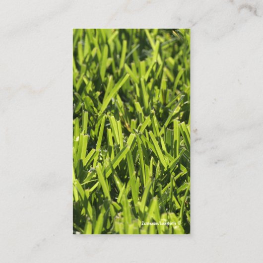 芝生の名刺 名刺 (裏面)