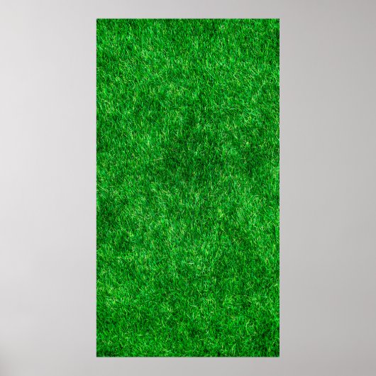 芝生の庭の公園地面 ポスター (正面)