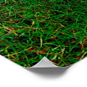 芝生の牧草地のテクスチャヤード ポスター (角)