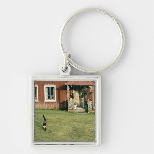芝生の猫が付いている擦り切れたで赤い家 キーホルダー (正面)