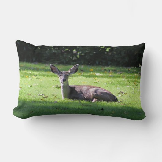 芝生の腰枕の上に休む鹿 ランバークッション (正面)