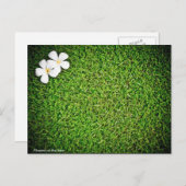 芝生の花 ポストカード (正面/裏面)