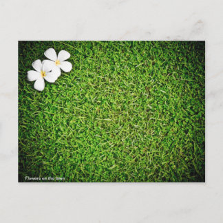 芝生の花 ポストカード