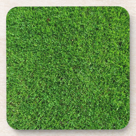 芝生の質 コースター (正面)