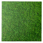 芝生の質 タイル (正面)