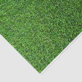 芝生の質 薄葉紙 (詳細)