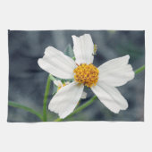 芝生の雑草を美化する。 キッチンタオル (横)