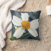 芝生の雑草を美化する。 クッション (ブランケット)