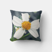 芝生の雑草を美化する。 クッション (正面)