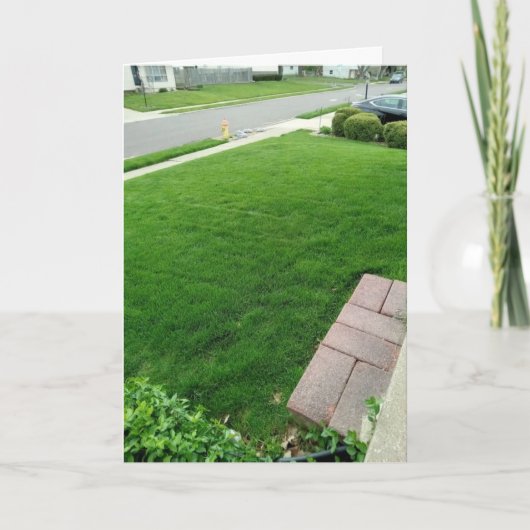 芝生はグリーンカード カード (正面)