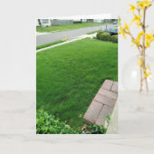 芝生はグリーンカード カード (黄色い花)