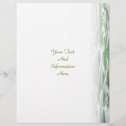 芝生フライヤー チラシ (正面)