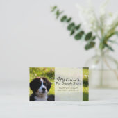 芝生ペット写真のバーニーズ・マウンテン・ドッグ 名刺 (スタンド正面)