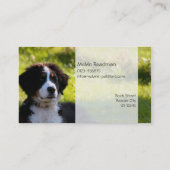 芝生ペット写真のバーニーズ・マウンテン・ドッグ 名刺 (裏面)