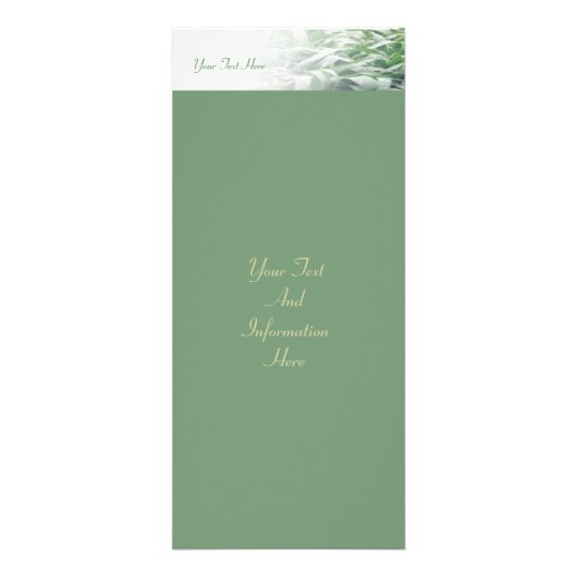 芝生ラックカード ラックカード (正面)