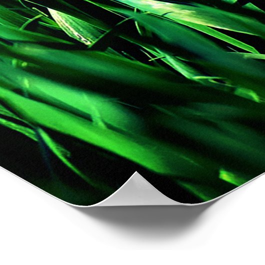 芝生気に草 ポスター (角)