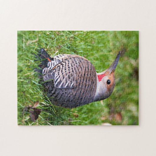 芝生素晴らしの上で赤いシャフトの北のちらつき ジグソーパズル (横)