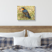 芝生素晴らしの様々なツグミ キャンバスプリント (インサイチュ (寝室))