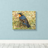 芝生素晴らしの様々なツグミ キャンバスプリント (インサイチュ (ウッドフロア))