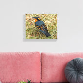 芝生素晴らしの様々なツグミ キャンバスプリント (インサイチュ (リビング))