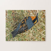 芝生素晴らしの様々なツグミ ジグソーパズル (横)