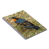 芝生素晴らしの様々なツグミ ノートブック (右側)