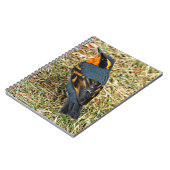 芝生素晴らしの様々なツグミ ノートブック (左側)