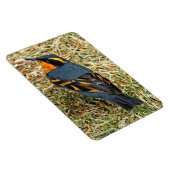 芝生素晴らしの様々なツグミ マグネット (右側)