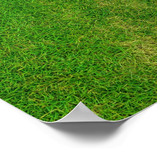 芝生 ポスター (角)