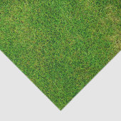 芝生 薄葉紙 (詳細)