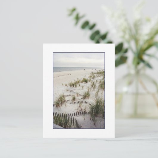 「芝砂丘つき巻き柵」はがき ポストカード (スタンド正面)