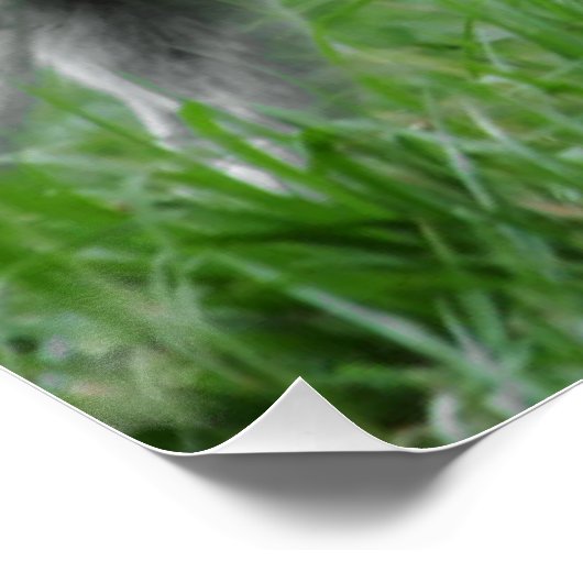 芝2フル ポスター (コーナー)