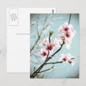 花々の春 ポストカード (正面/裏面)