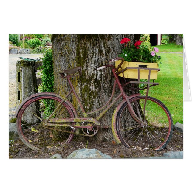 花かご付き古アンティーク自転車 (正面横)