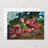 花かご ポストカード (正面/裏面)