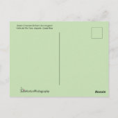 花から出食べ物を与えた輝くハミングバード ポストカード (裏面)