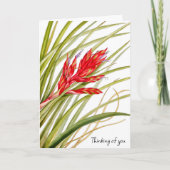 花から自然カード カード (正面)