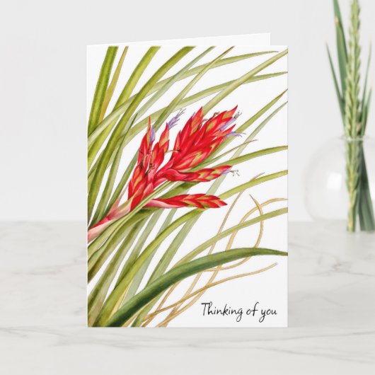 花から自然カード カード (正面)