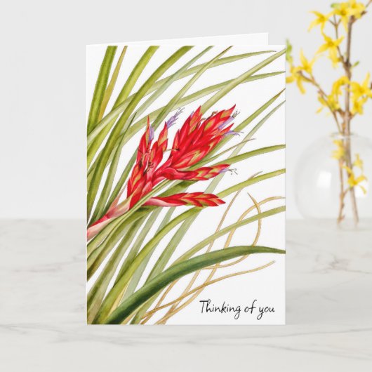 花から自然カード カード (黄色い花)