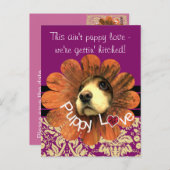 花から覗く子犬の愛 案内ポストカード (正面/裏面)