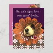 花から覗く子犬の愛 案内ポストカード (正面/裏面)