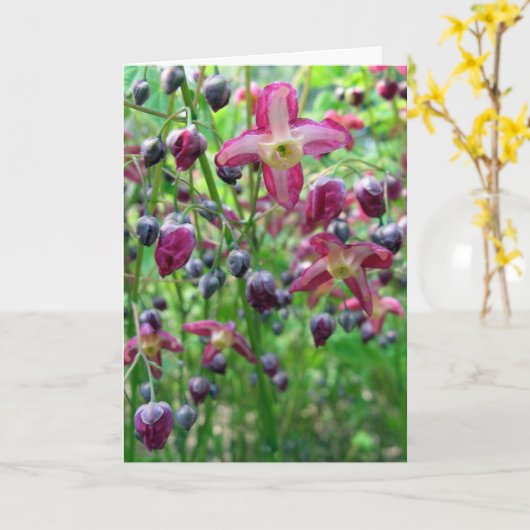 花かわいらしと芽春母の日 カード (黄色い花)