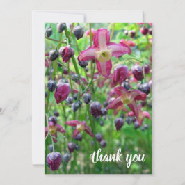 花かわいらしと芽Photo Gradation Thank You 案内状