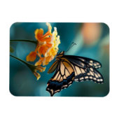 花かわいらしの蝶 マグネット (横)