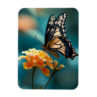 花かわいらしの蝶 マグネット