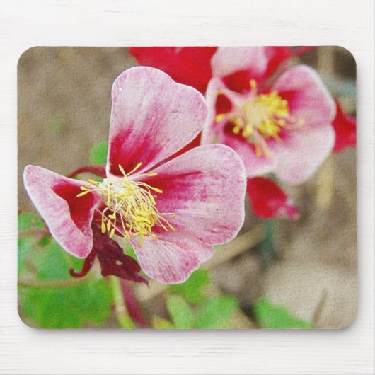 花かわいらしオダマキ(植物) マウスパッド (正面)