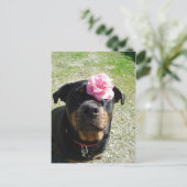 花かわいらしロットワイラー ポストカード (スタンド正面)